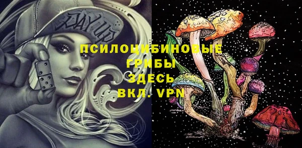 spice Балахна