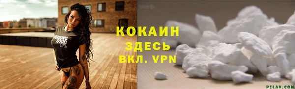 крисы Баксан