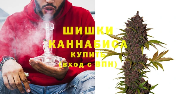 крисы Баксан