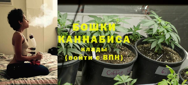 spice Балахна