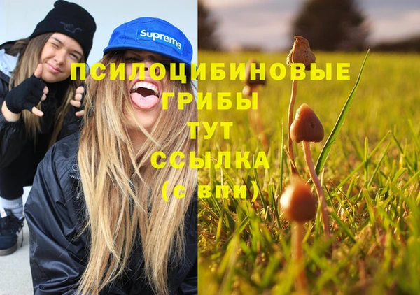 стафф Балабаново