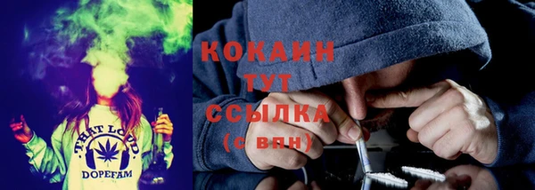 крисы Баксан