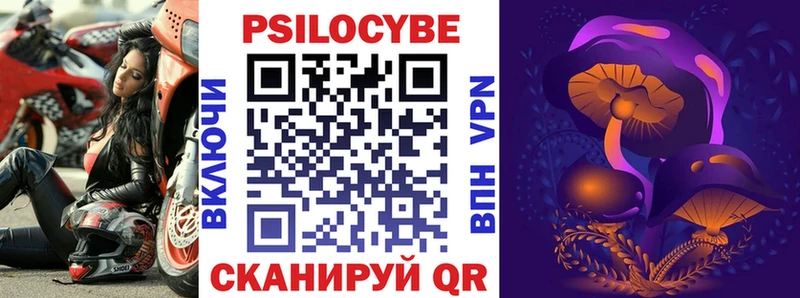 Псилоцибиновые грибы Cubensis  kraken зеркало  Давлеканово  где купить наркоту 